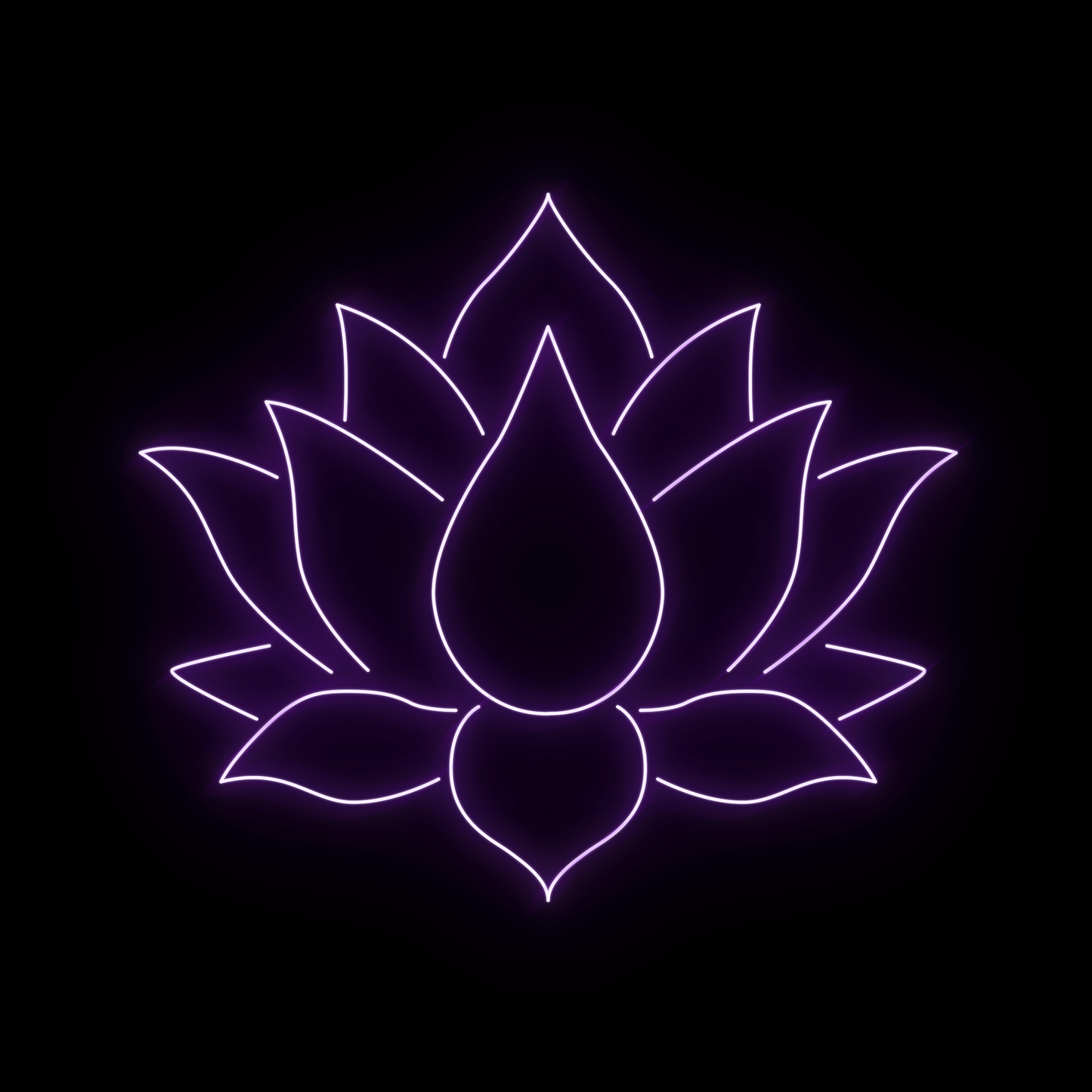 Lotus 2