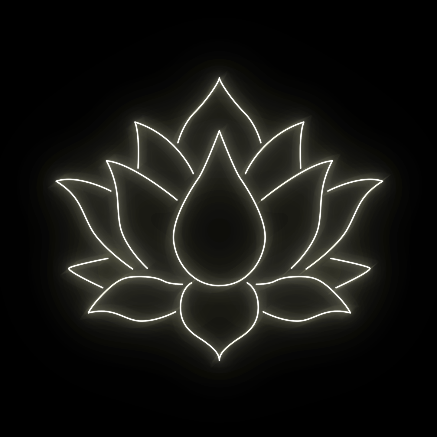 Lotus 2